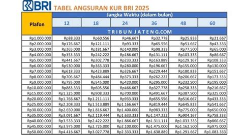 apakah kur bri bisa di topup Voucher PSN Digital yang Menerima GoPay OVO setidak-tidaknya, lihat image 1