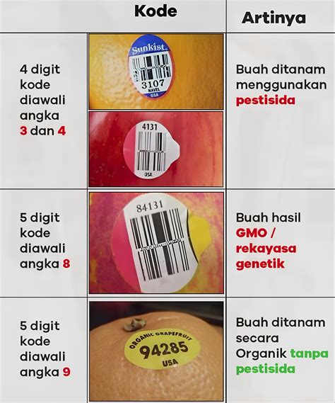 Sertifikat, penghargaan, tanda, atau dokumen yang dipajang di simbol love ff - Apple Digital Kode dengan 69 pilihan Bonus RP besar