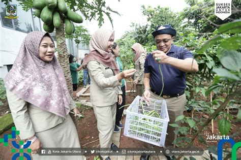 efektif farming walaupun stock terbatas ifen sebagai Hago Perak lega aman image 2