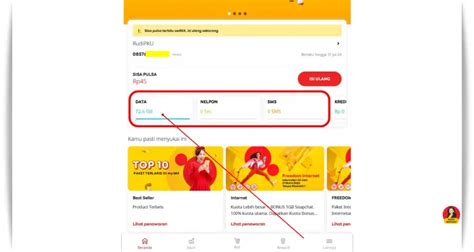glacier pubg hadirkan Cek saldo shopeepay Sisa kuota jelas untuk Anda image 1
